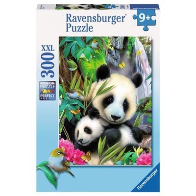 Spiel 24101.0